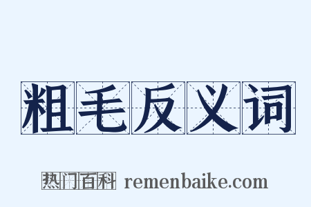 粗毛反义词是什么意思的图片